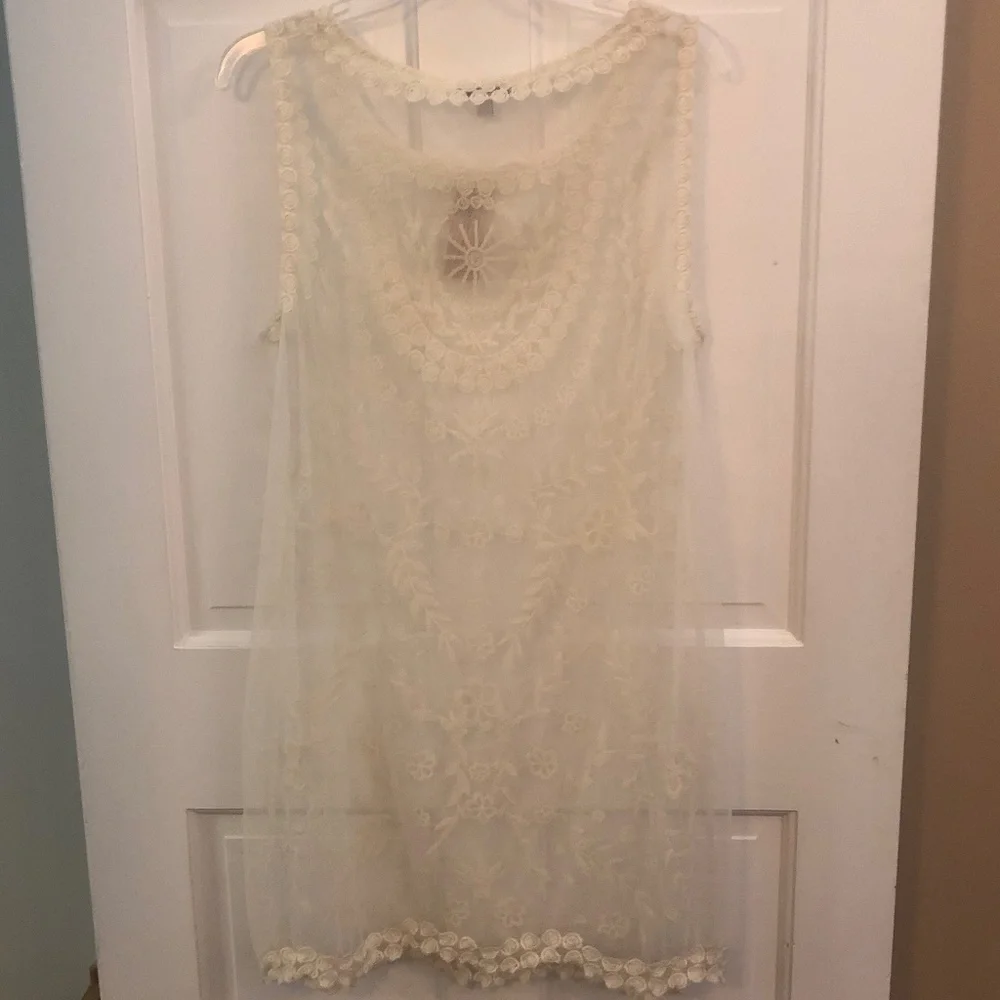 American Eagle Outfitters cream lace sheath overlay size L NWT - Picture 3 of 5